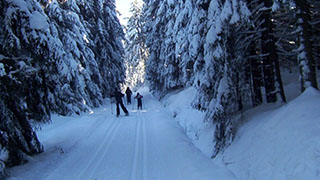 Skilanglauf Ochsenkopf