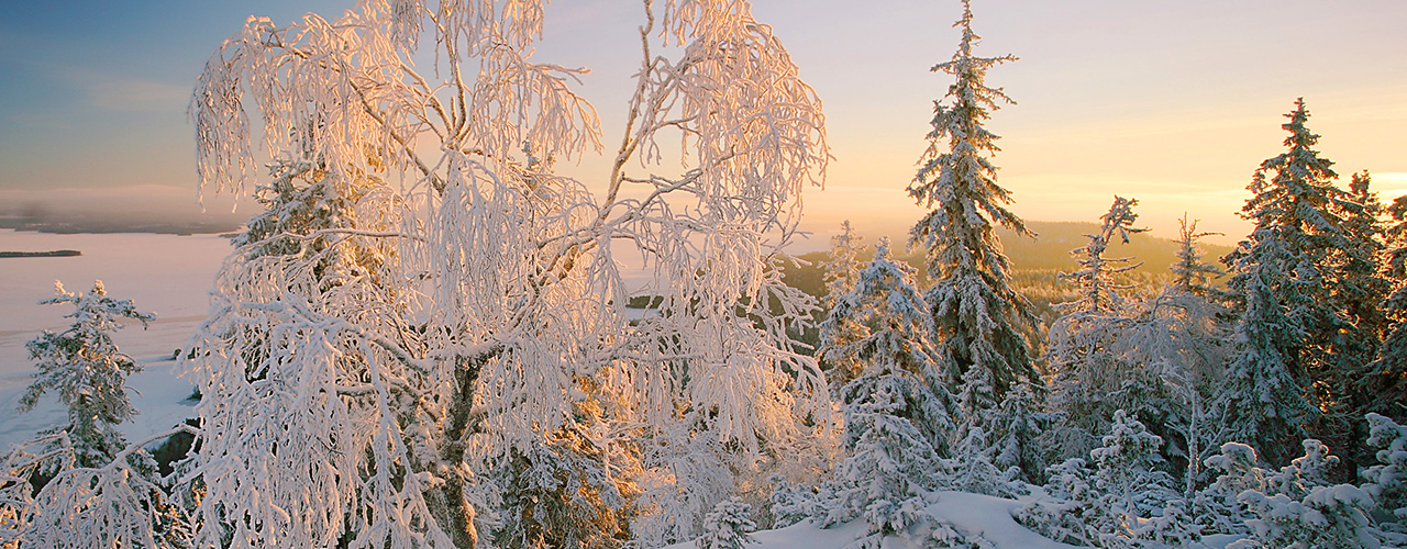 Ausblick